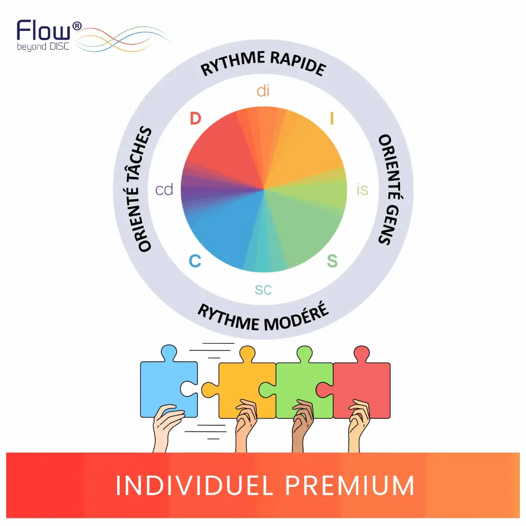 Test de personnalité DISC Flow© - Individuel Premium