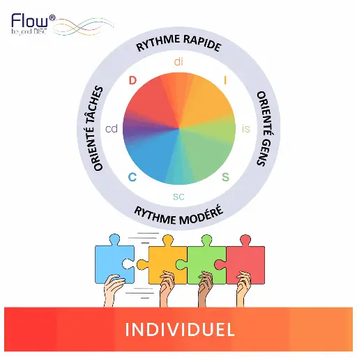 Test de personnalité DISC Flow© - Individuel