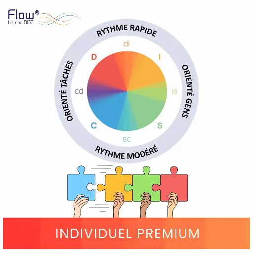 Test de personnalité DISC Flow© - Individuel Premium